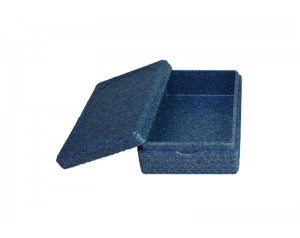 Light Weight EPP Foam Box with Cover