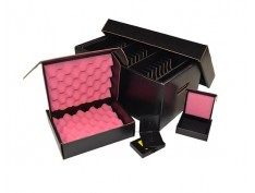 Anti-static Design of Chip Anti-static Design of Chip